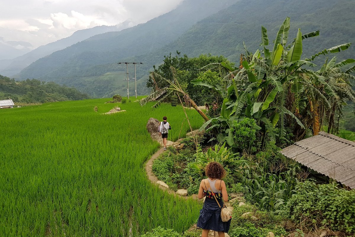 Sapa rice fields in Vietnam - World Travel Ambitions family exploring terraced landscapes