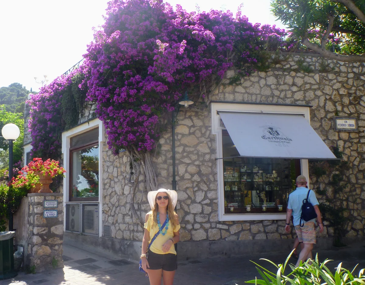 Capri Streets - Charming pathways and beautiful architecture